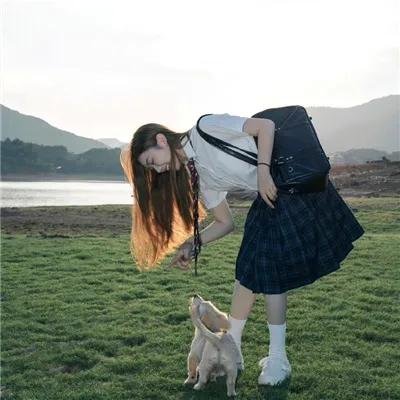 西塔福德之谜